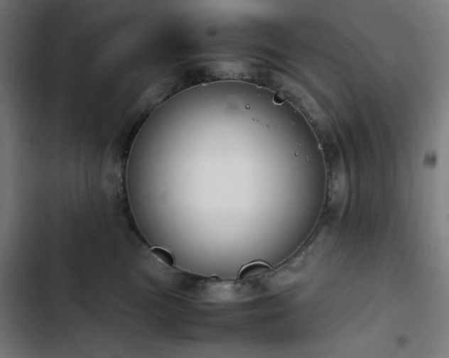 X0000103410473200809121309