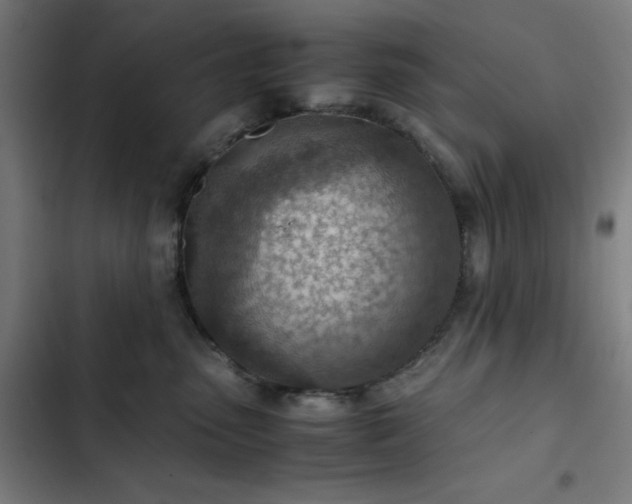 X0000103410475200809121309