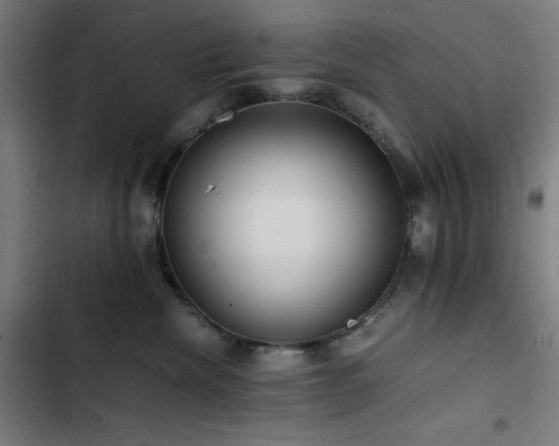 X0000103410476200809121309