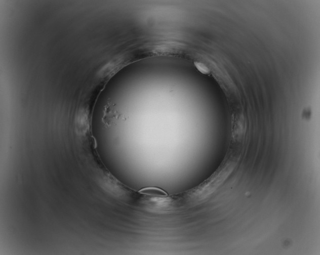 X0000103410478200809121310