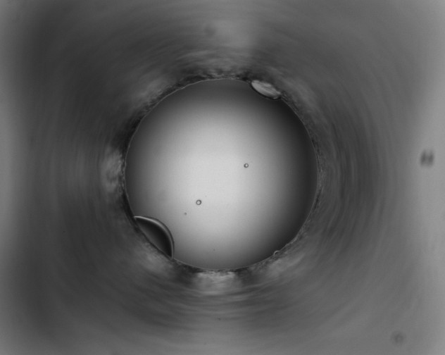 X0000103410480200809121310