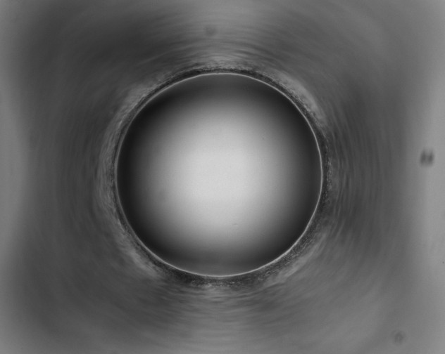 X0000103410481200809121309