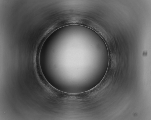 X0000103410482200809121309