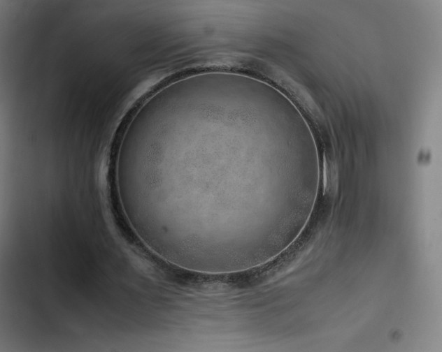 X0000103410483200809121309