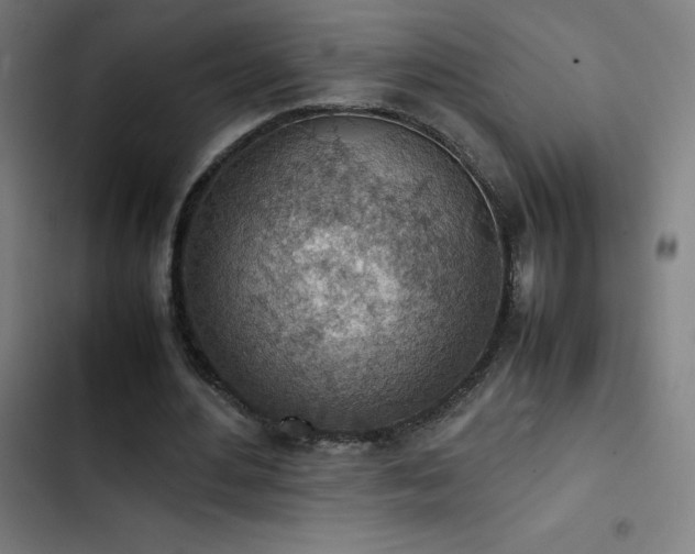 X0000103410484200809121309