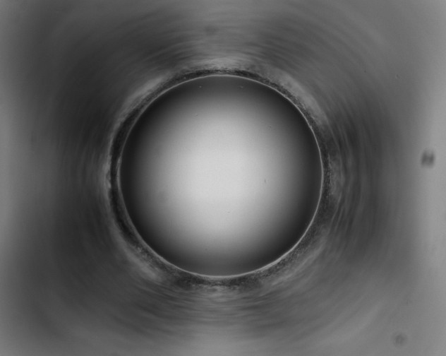 X0000103410486200809121309