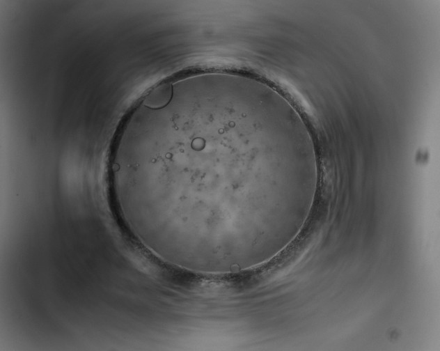 X0000103410487200809121309