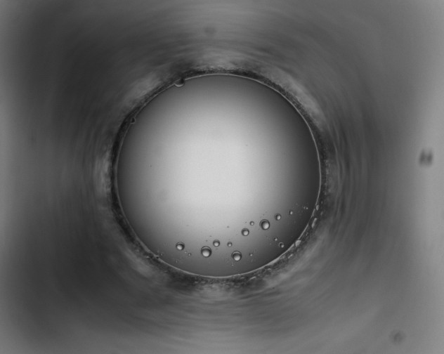 X0000103410489200809121309