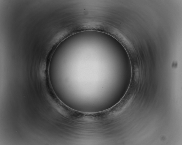 X0000103410490200809121309