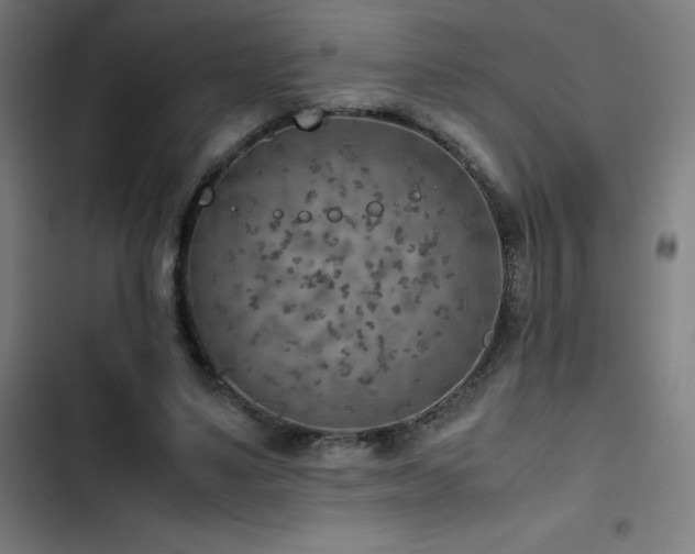 X0000103410491200809121309