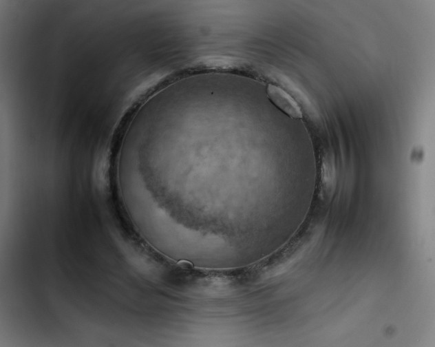 X0000103410492200809121308