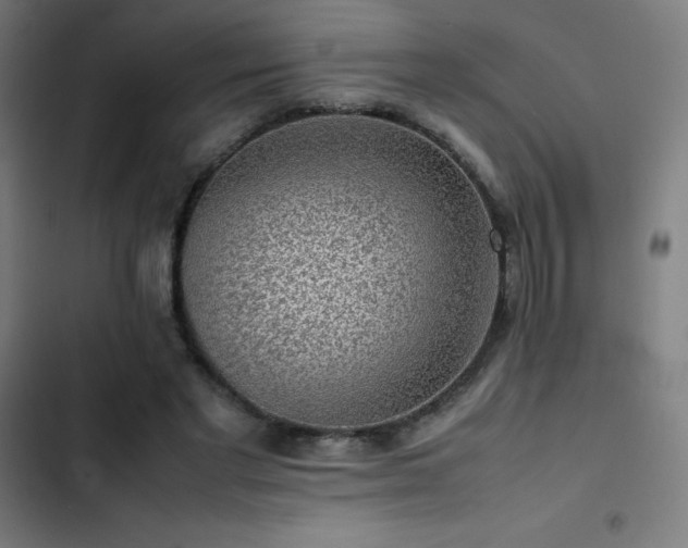 X0000103410493200809121308