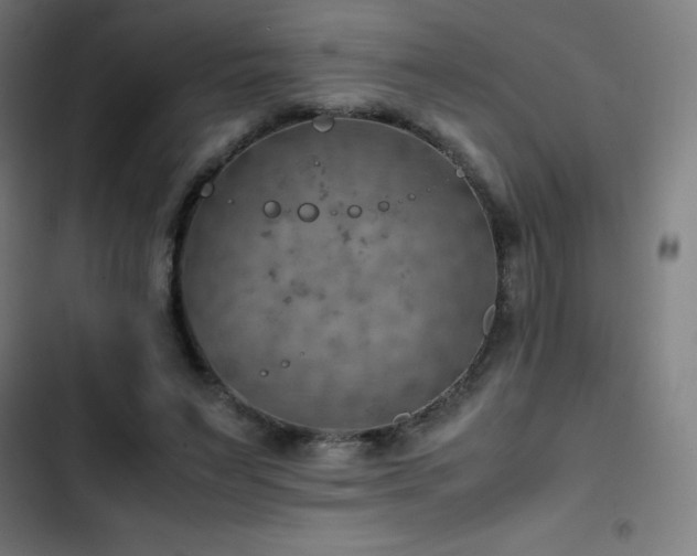 X0000103410495200809121308