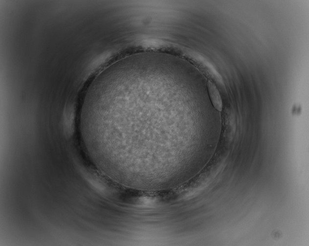 X0000103410496200809121308