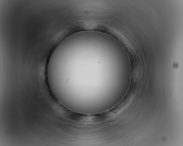 X0000103410497200809121308