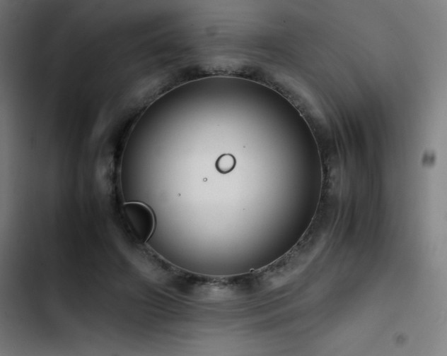 X0000103410498200809121308