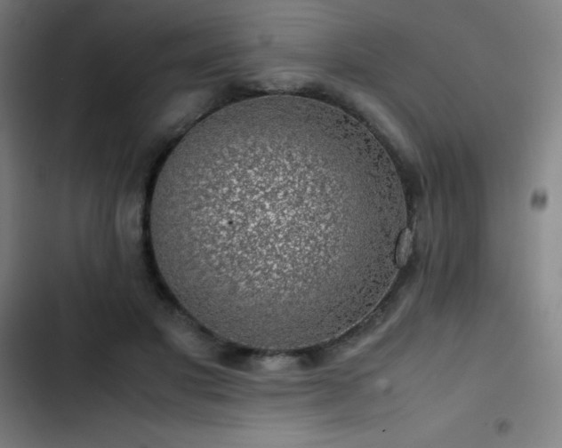 X0000103410501200809121308