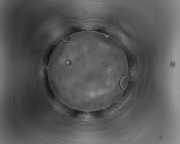 X0000103410503200809121308