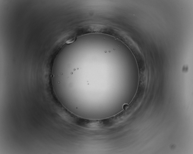 X0000103410505200809121308