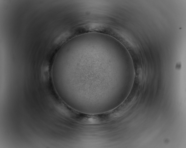 X0000103410506200809121308