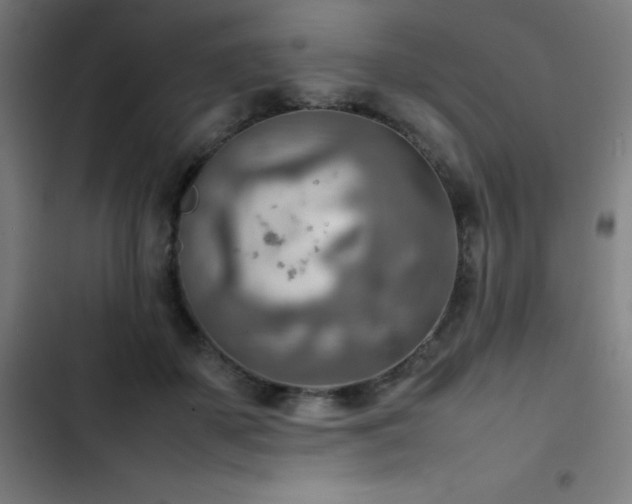 X0000103410507200809121308