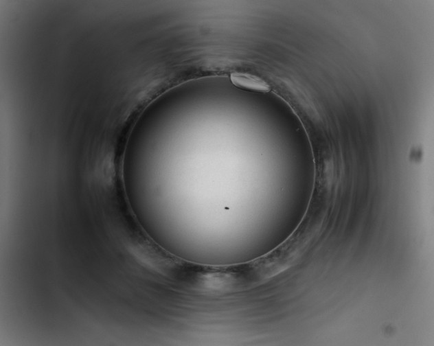 X0000103410508200809121308