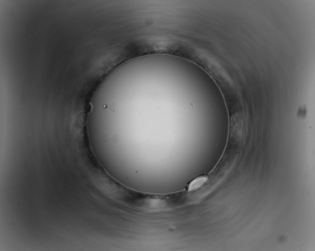 X0000103410509200809121308