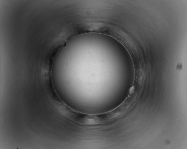 X0000103410510200809121308