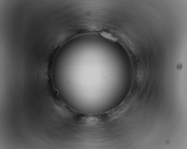 X0000103410512200809121308