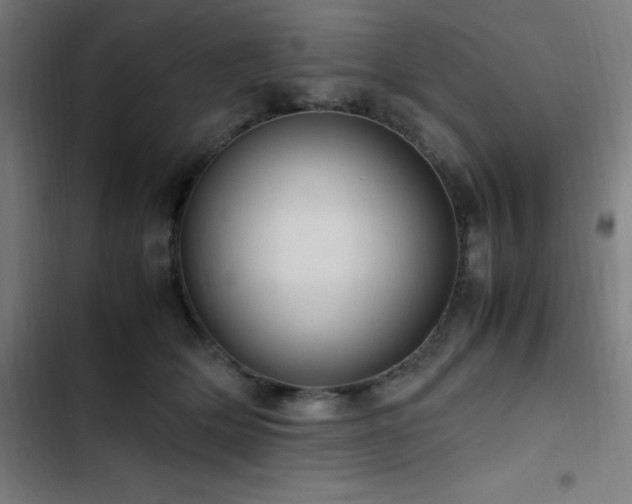 X0000103410514200809121308