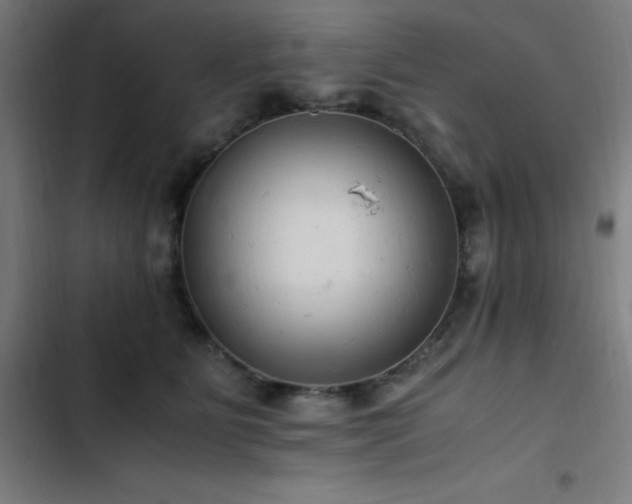 X0000103410515200809121308