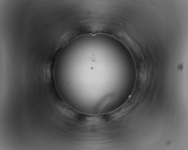 X0000103410516200809121308