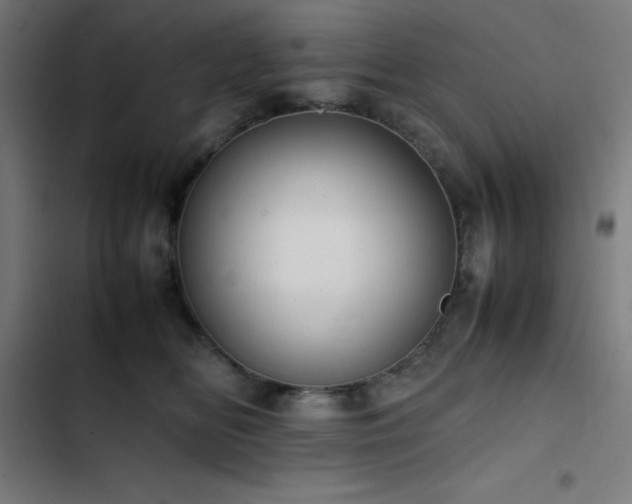 X0000103410518200809121308