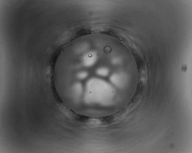 X0000103410519200809121308