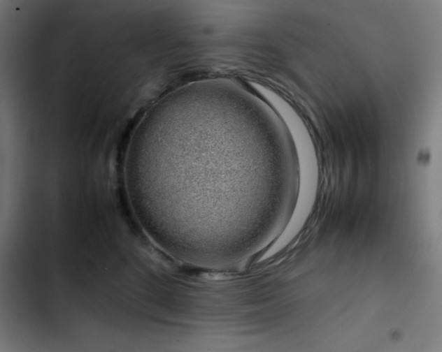 X0000103410520200809121308