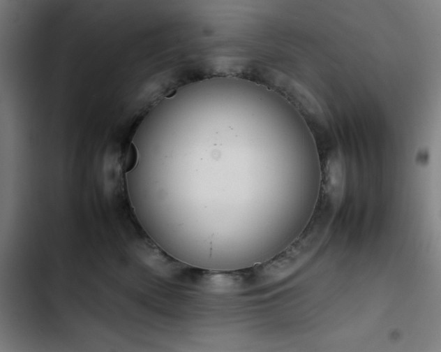 X0000103410522200809121308