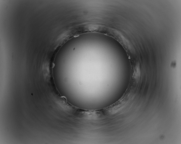 X0000103410524200809121308