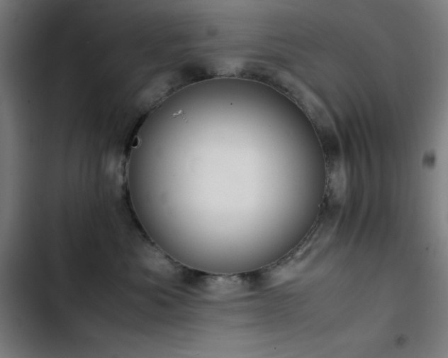 X0000103410525200809121308