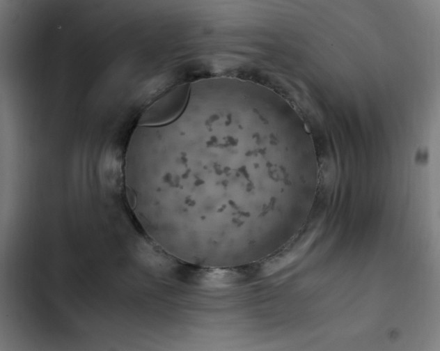 X0000103410527200809121308