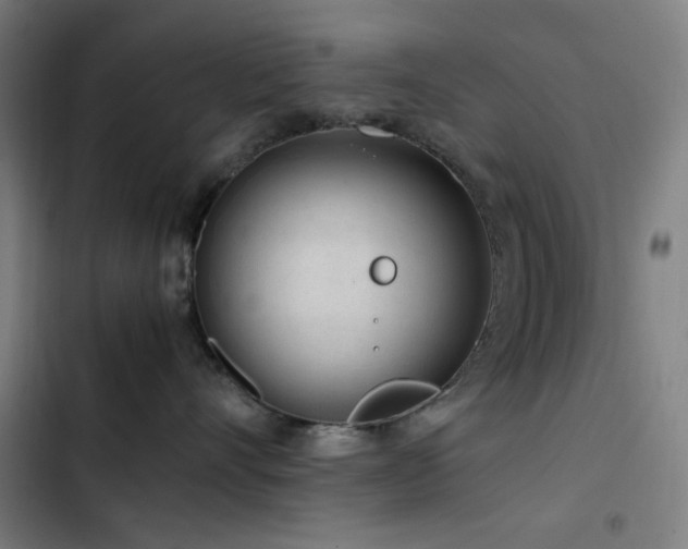 X0000103410528200809121308