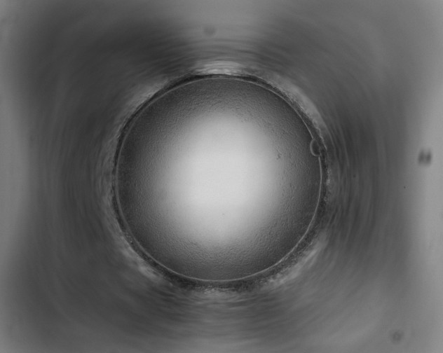 X0000103410529200809121307