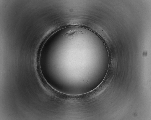 X0000103410530200809121307