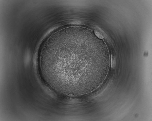 X0000103410531200809121307