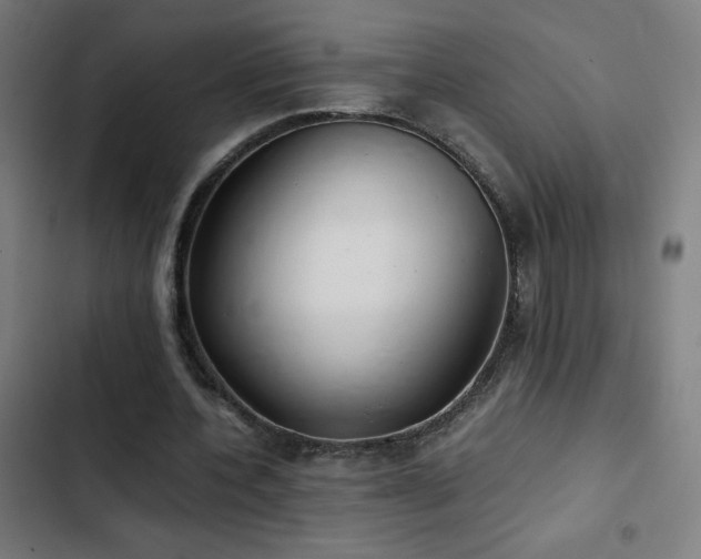 X0000103410532200809121307