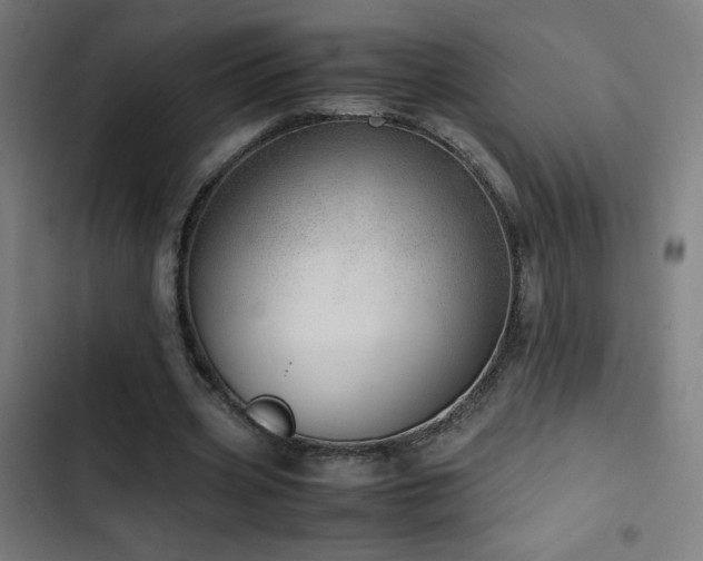 X0000103410533200809121307