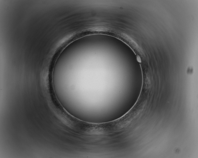 X0000103410535200809121307