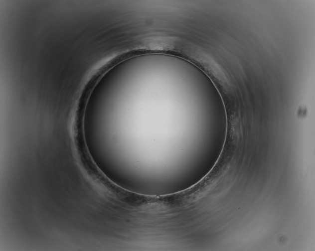 X0000103410536200809121307