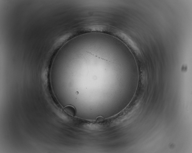 X0000103410537200809121307