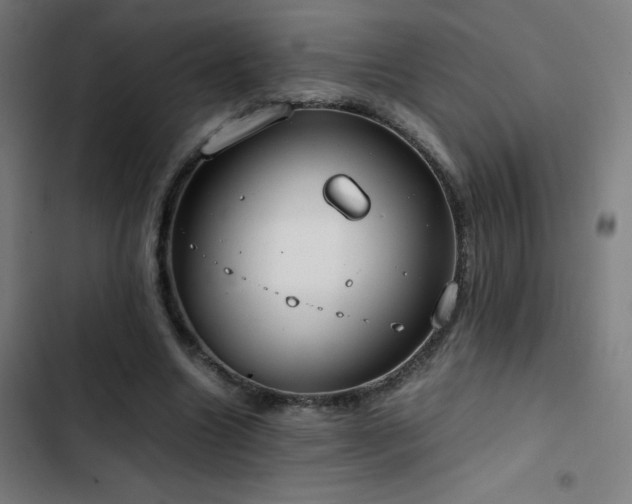 X0000103410538200809121307