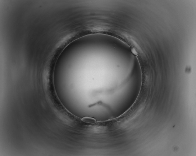 X0000103410539200809121307